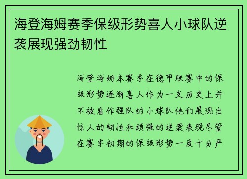 海登海姆赛季保级形势喜人小球队逆袭展现强劲韧性